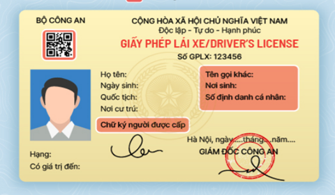 Mẫu giấy phép lái xe